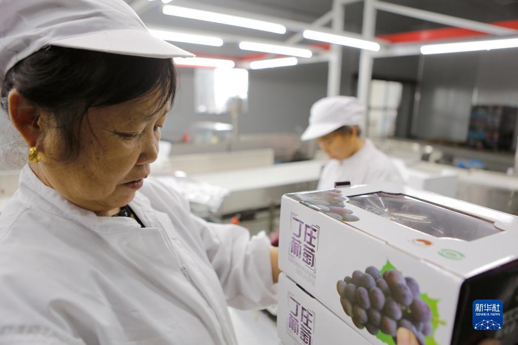 天下现金九州网址
